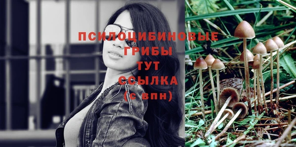 ECSTASY Бугульма