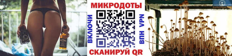 Псилоцибиновые грибы Psilocybe Малоархангельск
