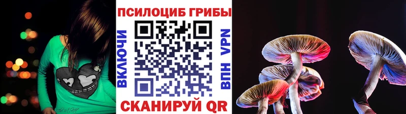 Псилоцибиновые грибы мицелий  наркошоп  ОМГ ОМГ рабочий сайт  Малоархангельск 